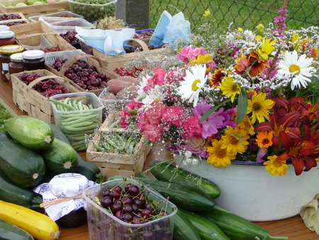 Sommerfest 2009